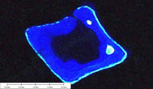 Bản đồ-Rạn san hô vòng Rose-170891025_f3a7b2cf91.jpg
