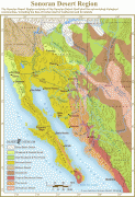 Bản đồ-Sonora-sonoran_map-lg.jpg