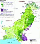 Kaart (kartograafia)-Pakistan-Pakistan_Religion_lg.jpg