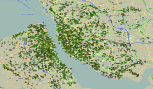 Bản đồ-Liverpool-liverpool-map-trees.jpg